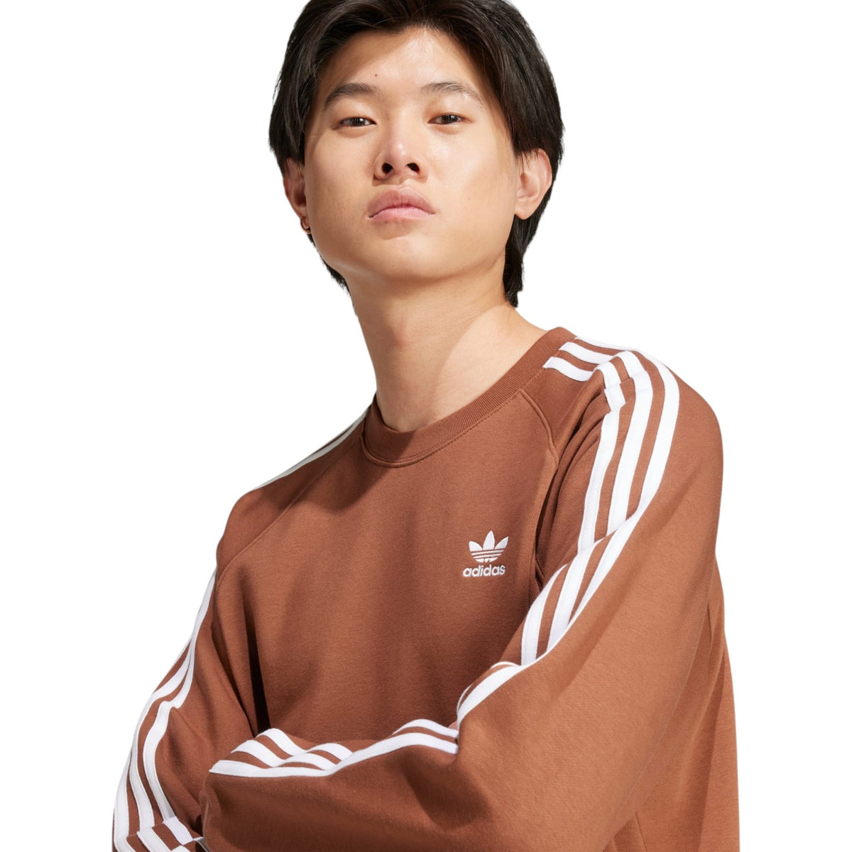 adidas Originals Adicolor Classics 3-Stripes Crew - Brown