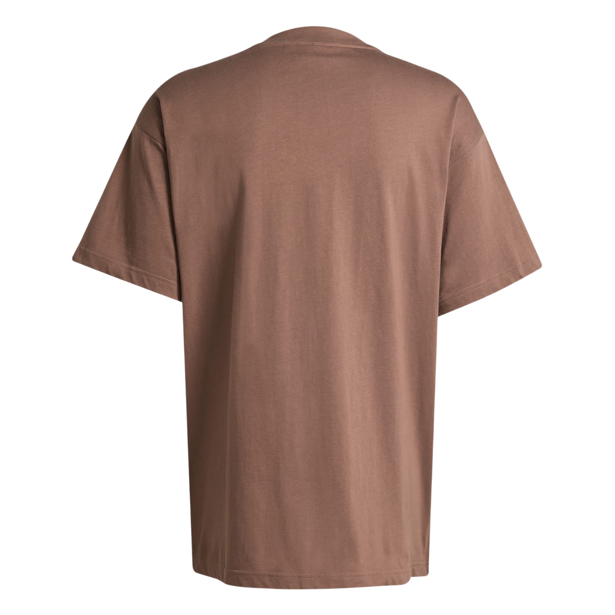 adidas Originals Essential Color Logo Oversized T-Shirt - Earth Strata