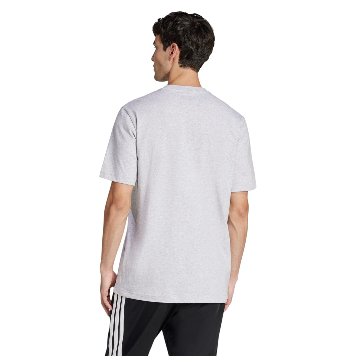 adidas Men's Lounge Still Life Lemons Graphic T-Shirt - Light Grey