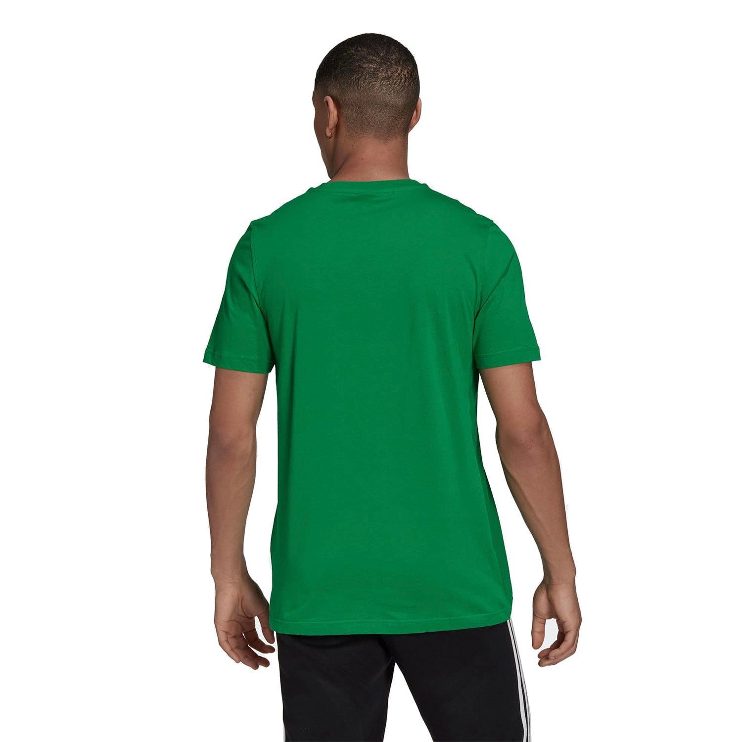 adidas Originals Adicolor Classics Trefoil T-Shirt - Green - ViaductClothing - -