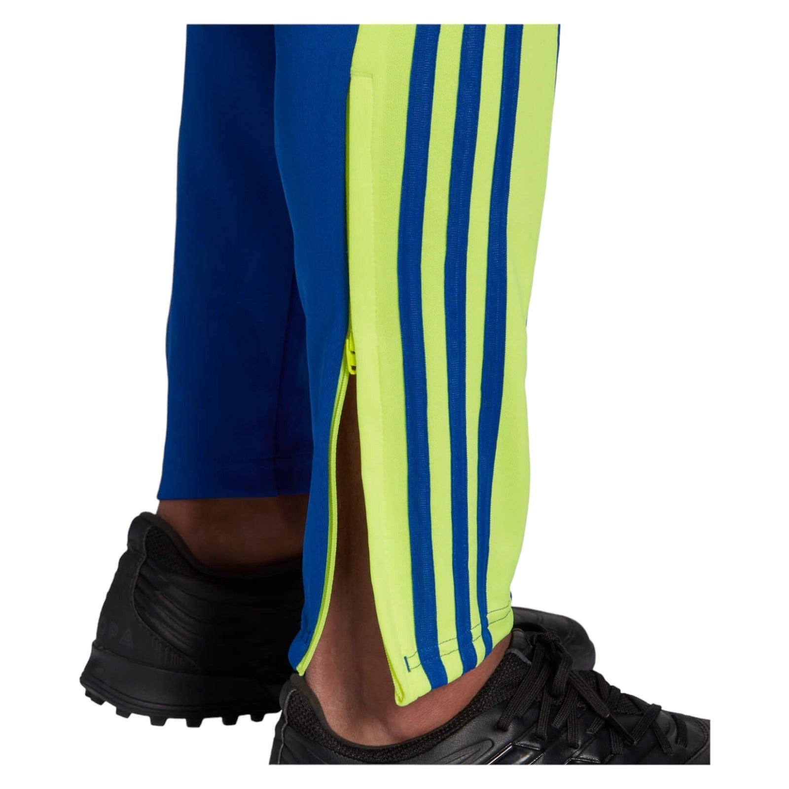 adidas Squadra 21 Training Pants - Team Royal Blue - ViaductClothing - -