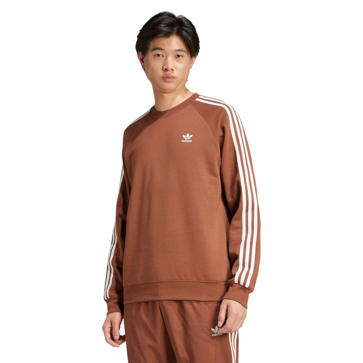 adidas Originals Adicolor Classics 3-Stripes Crew - Brown