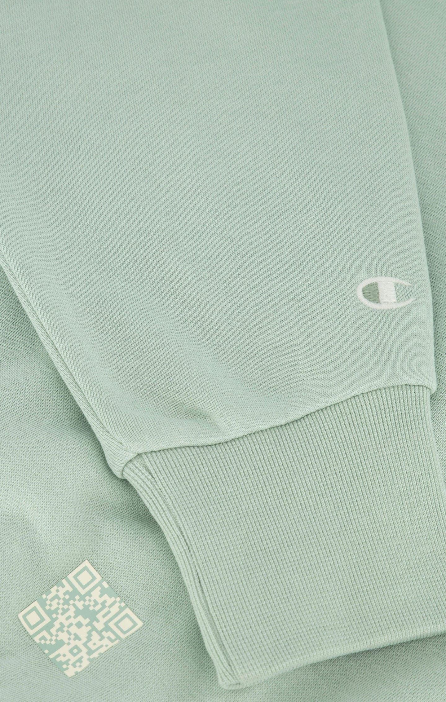 Champion Eco-Future Terry Hoodie - Frosty Green - ViaductClothing -  -  