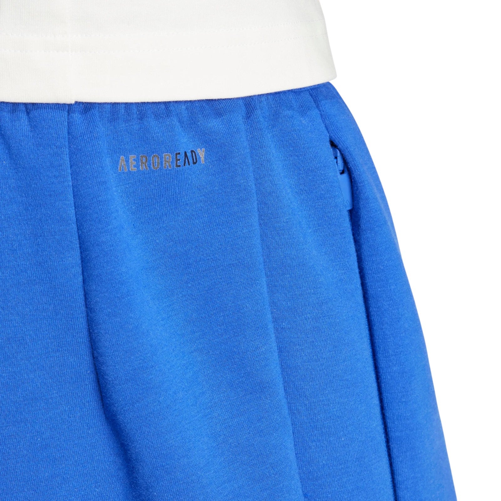 adidas Argentina Travel Shorts - Blue