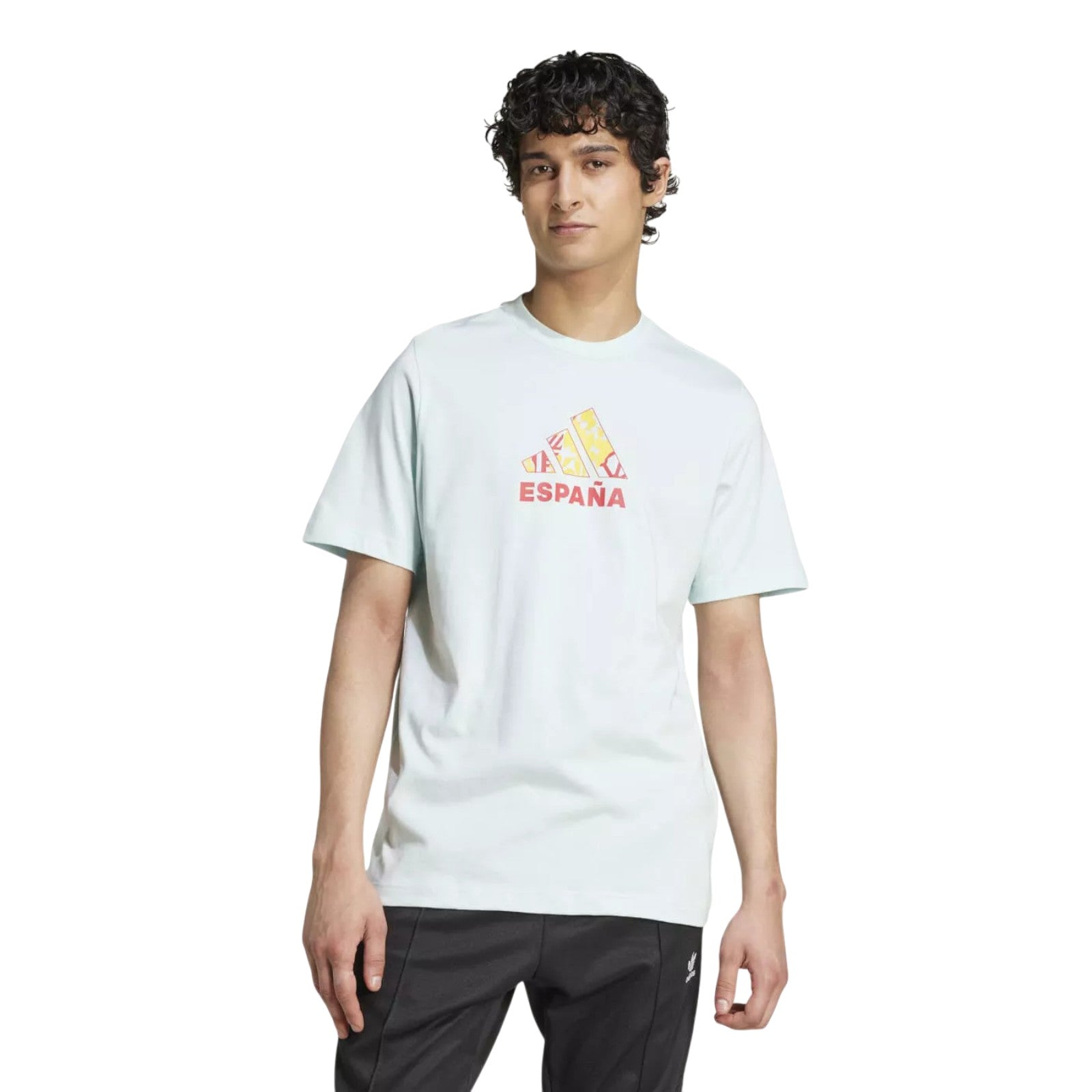 adidas Men's Spain Fan Graphic T-Shirt - Turquoise