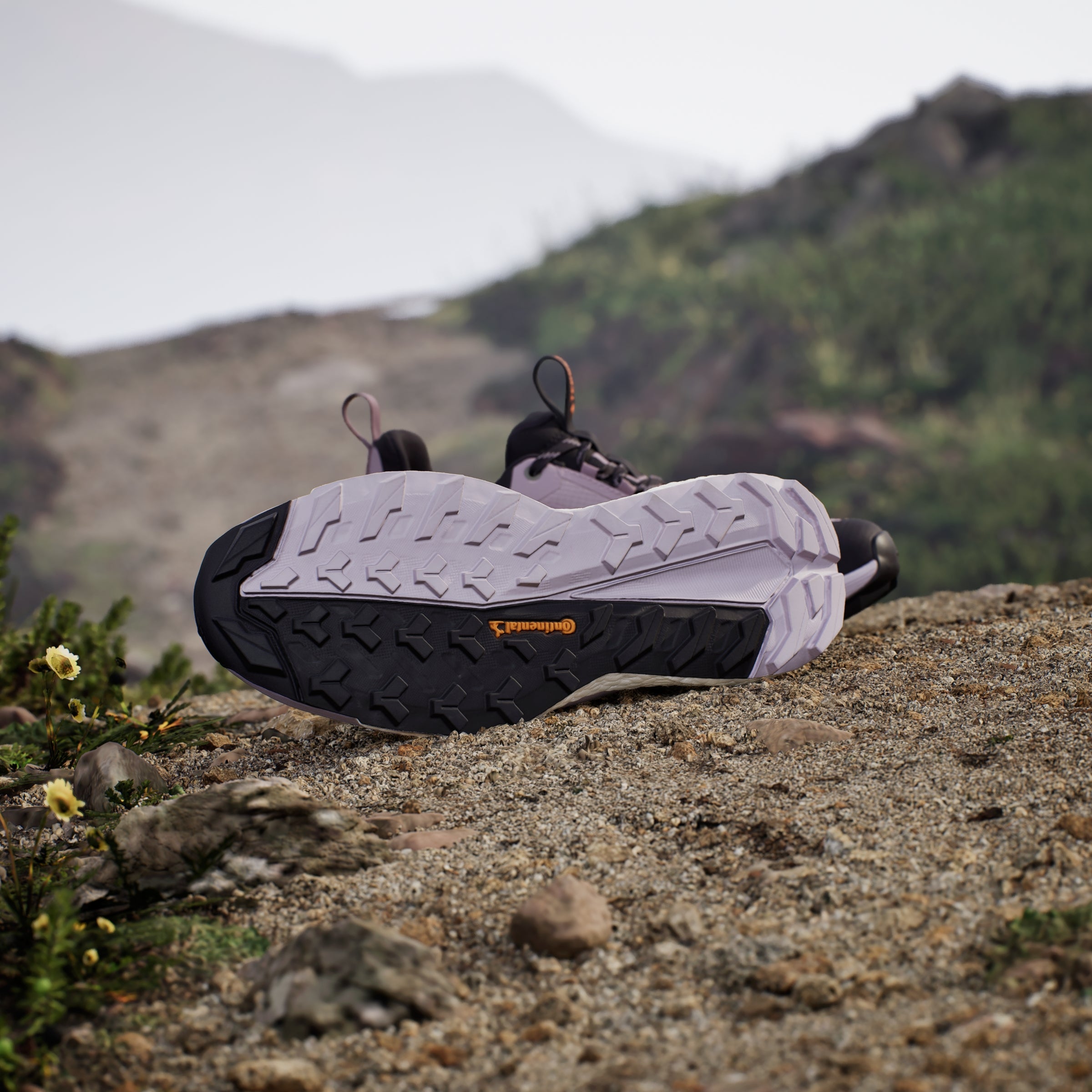 adidas Women's Terrex Free Hiker 2.0 Low Gore-Tex Hiking Trainers - Preloved Fig
