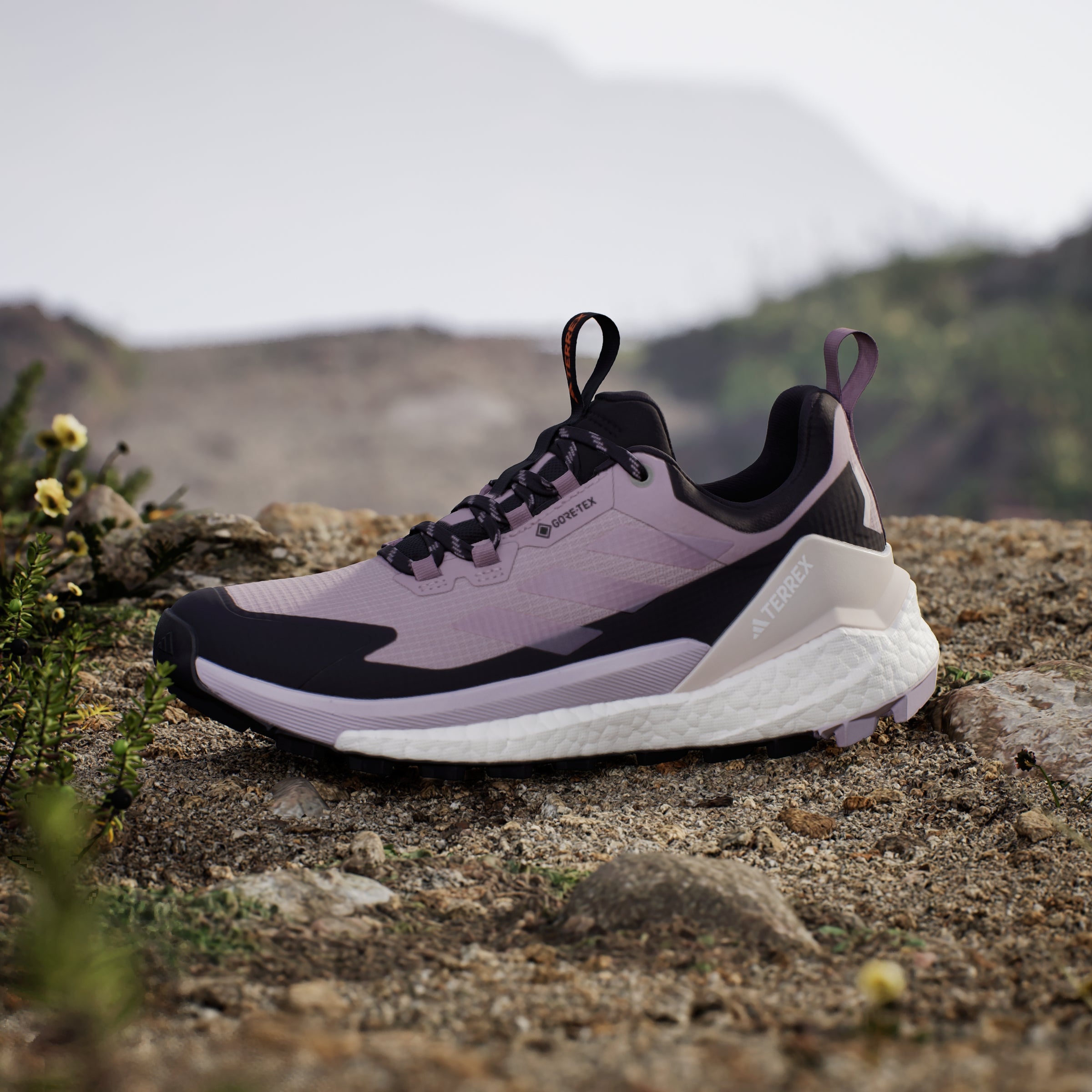 adidas Women's Terrex Free Hiker 2.0 Low Gore-Tex Hiking Trainers - Preloved Fig