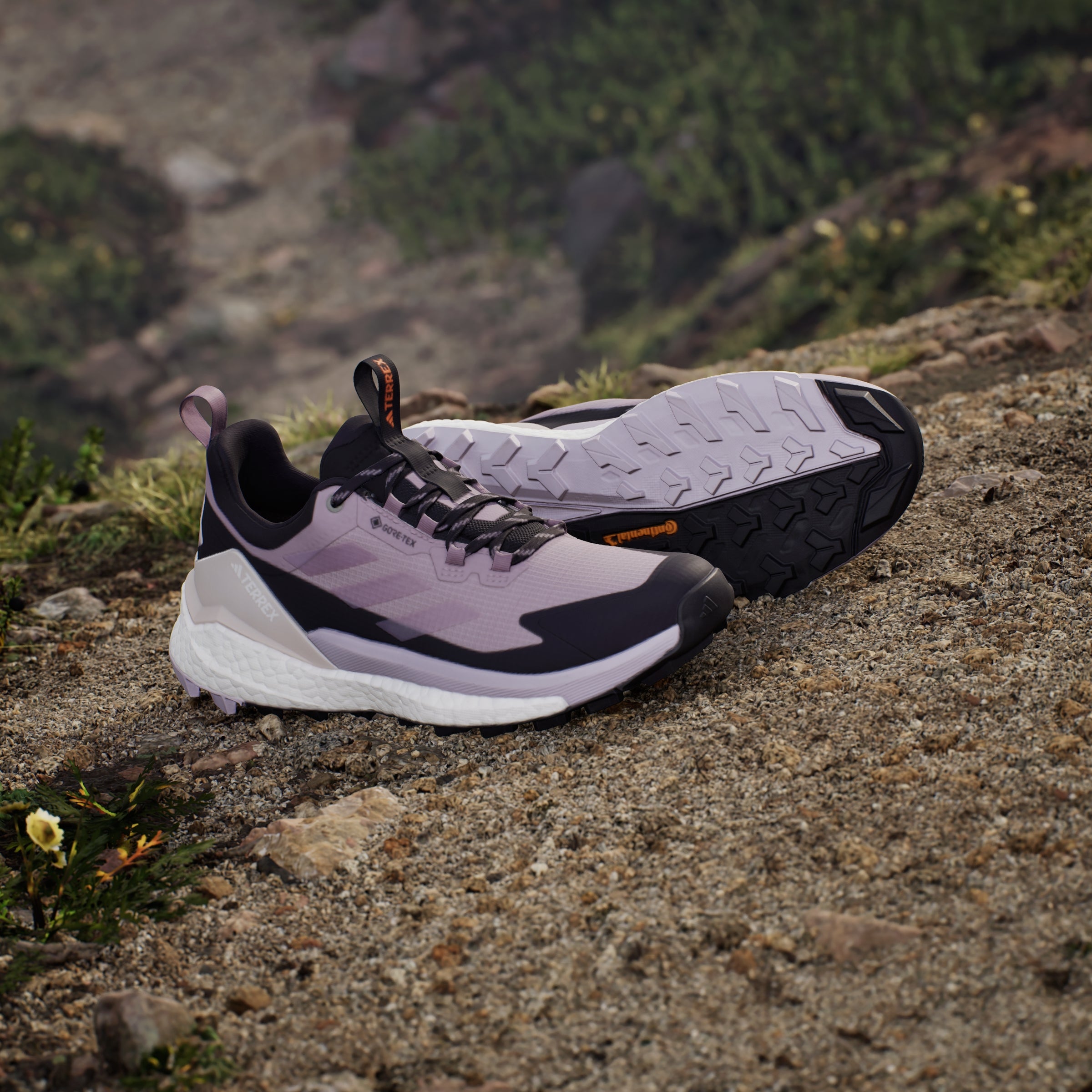 adidas Women's Terrex Free Hiker 2.0 Low Gore-Tex Hiking Trainers - Preloved Fig