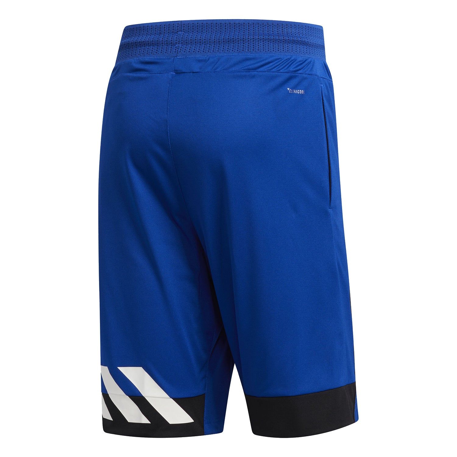 adidas Creator 365 Shorts - Blue - ViaductClothing -  -  