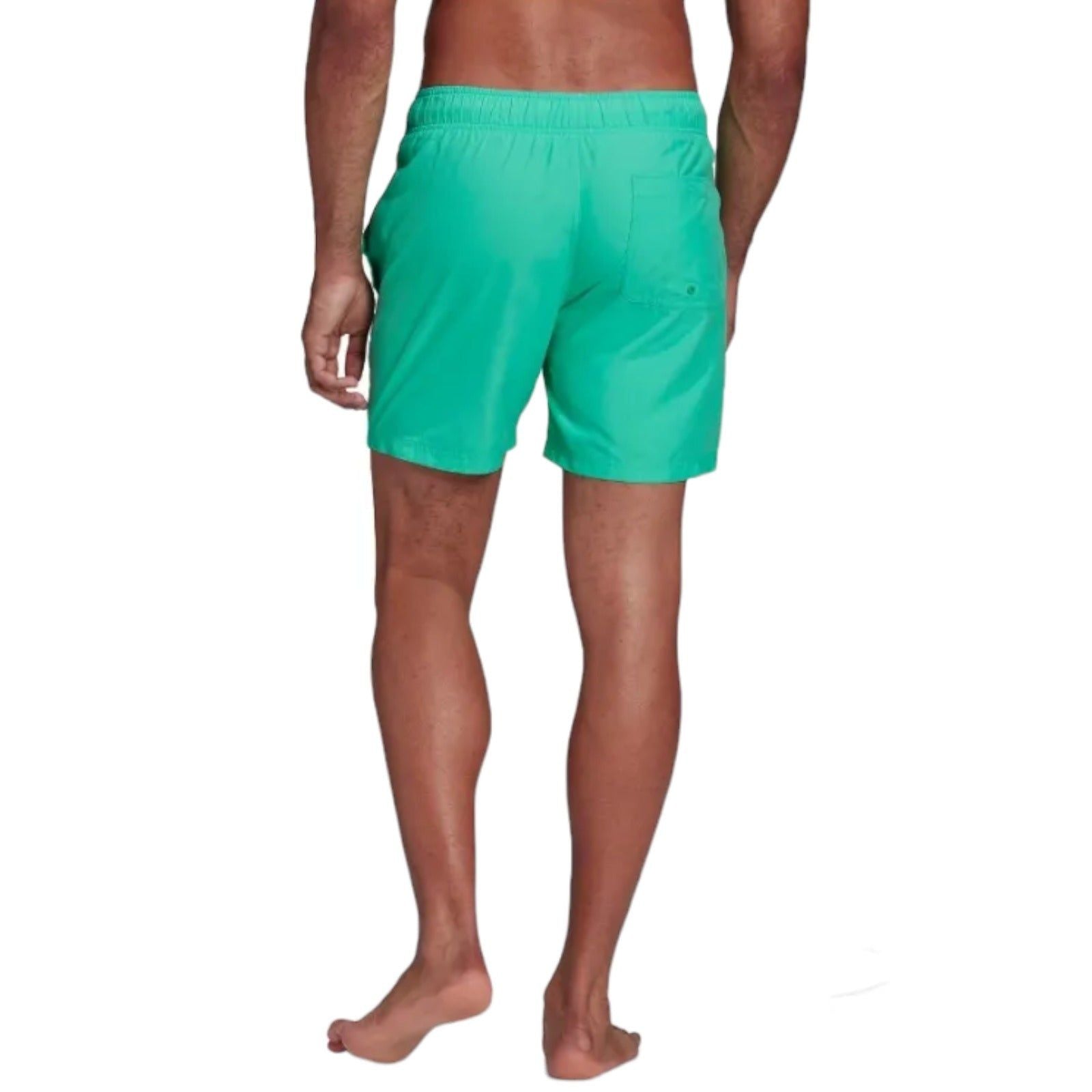 adidas Originals Adicolor Essentials Trefoil Swim Shorts - Hi-Res Green - ViaductClothing -  -  