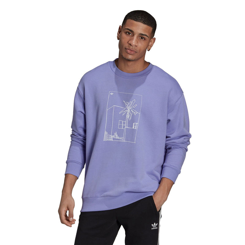 Adidas graphic crew neck sweatshirt outlet