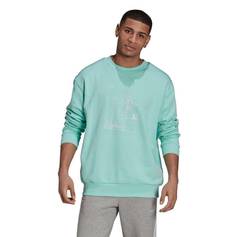 Adidas turquoise sweatshirt clearance