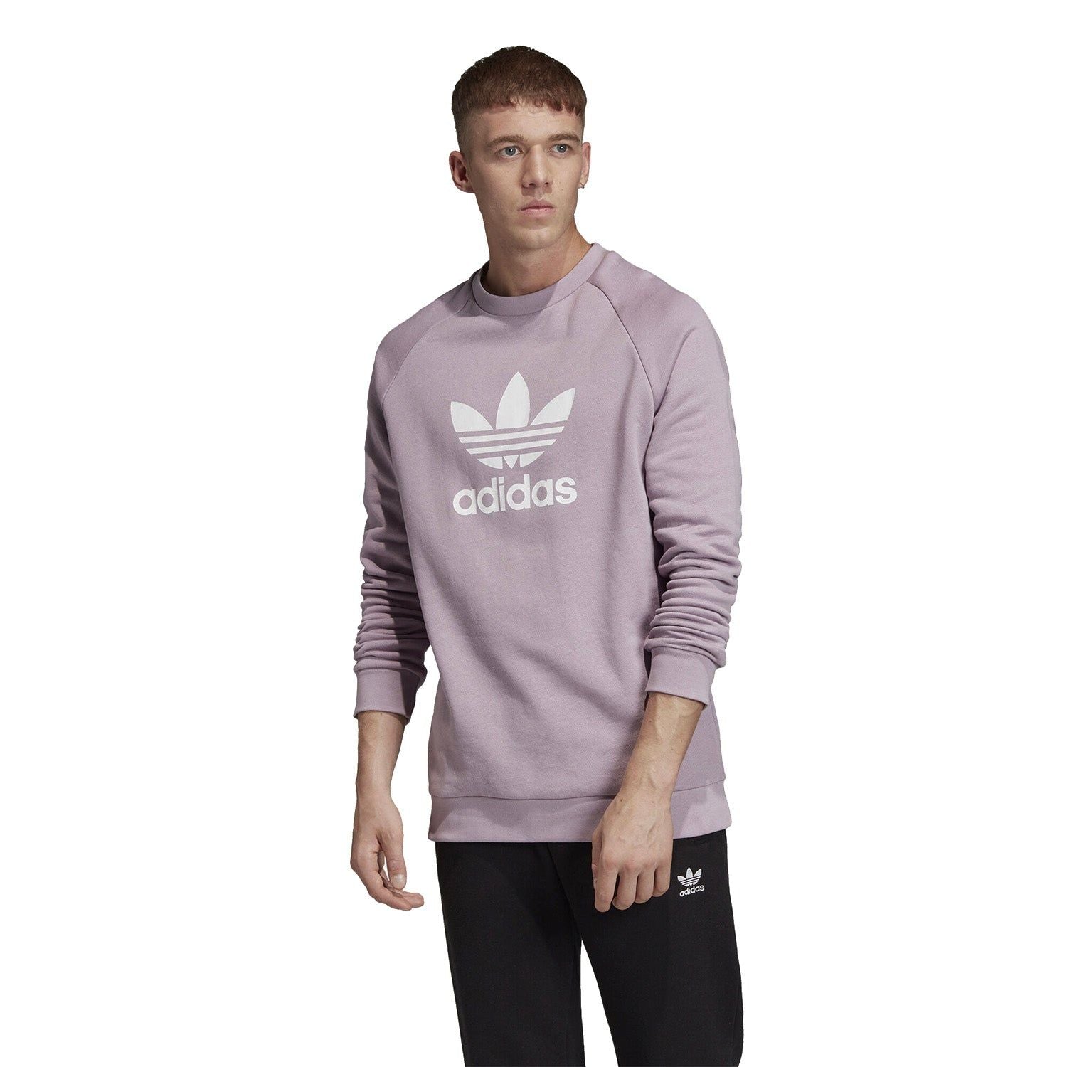 adidas Originals Trefoil Crew Sweatshirt - Soft Lilac - ViaductClothing -  -  