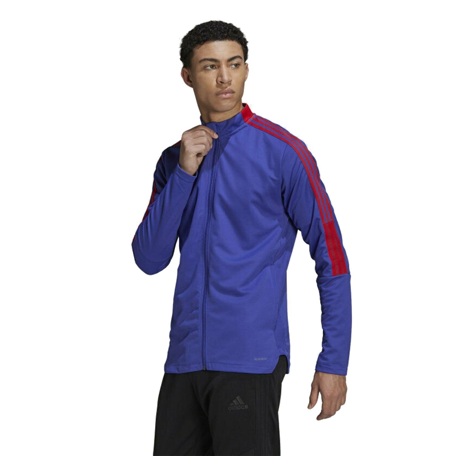 adidas Tiro Primeblue Track Jacket - Purple - ViaductClothing -  -  